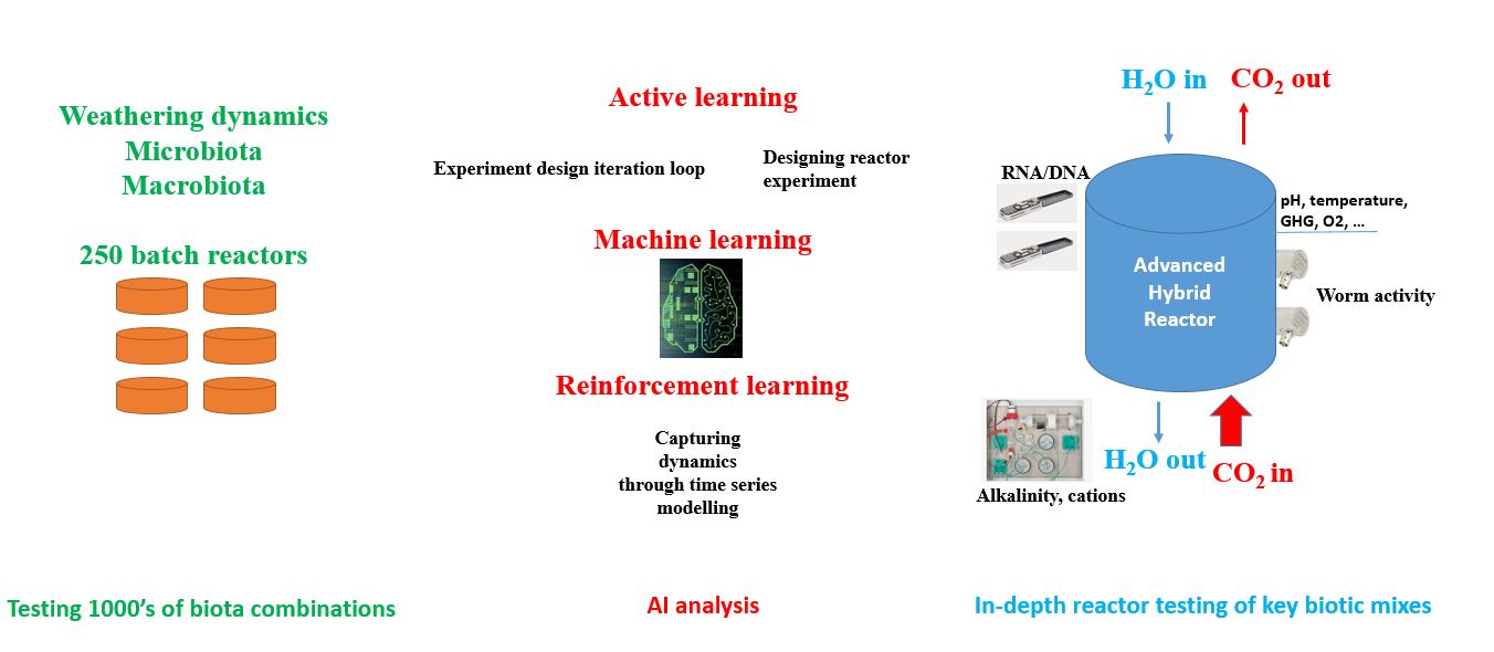 Fig 2 website