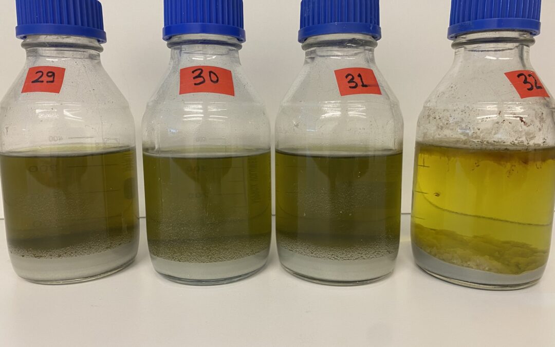 Enhanced Weathering Experiments at Uppsala University
